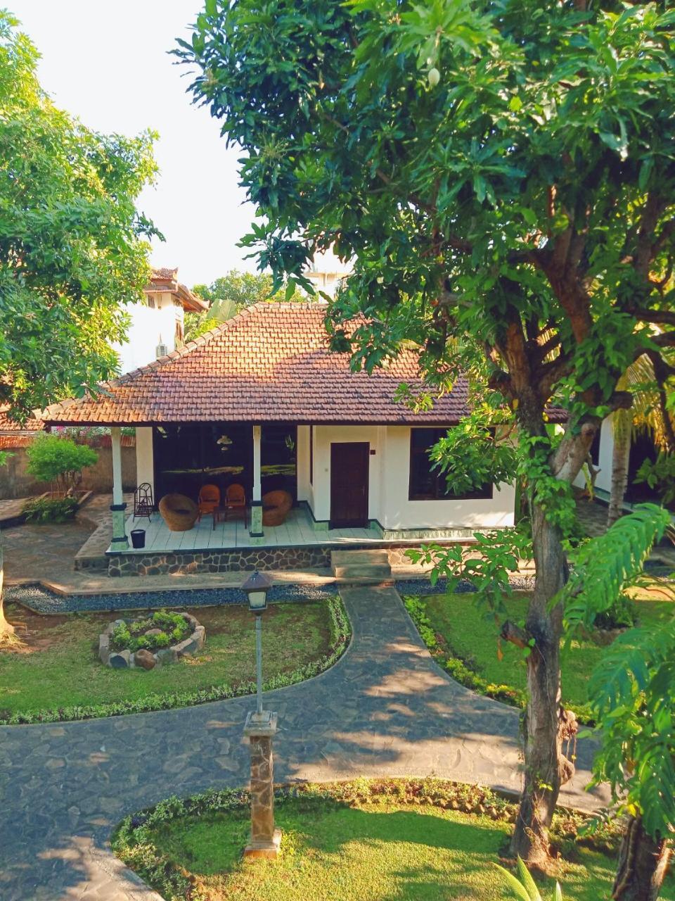 Rini Hotel โลวินา ภายนอก รูปภาพ