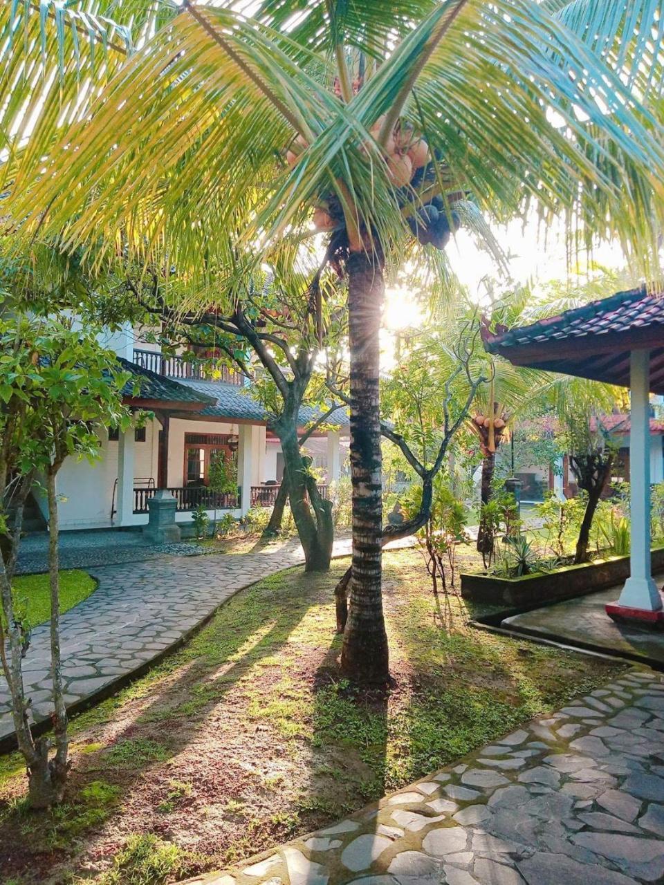 Rini Hotel โลวินา ภายนอก รูปภาพ