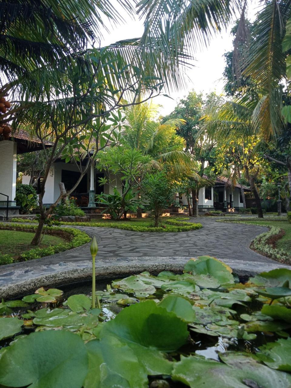 Rini Hotel โลวินา ภายนอก รูปภาพ