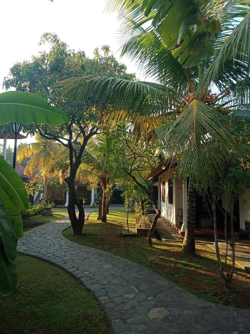 Rini Hotel โลวินา ภายนอก รูปภาพ