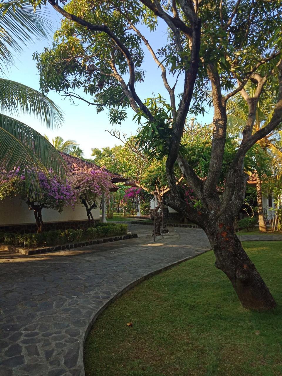Rini Hotel โลวินา ภายนอก รูปภาพ